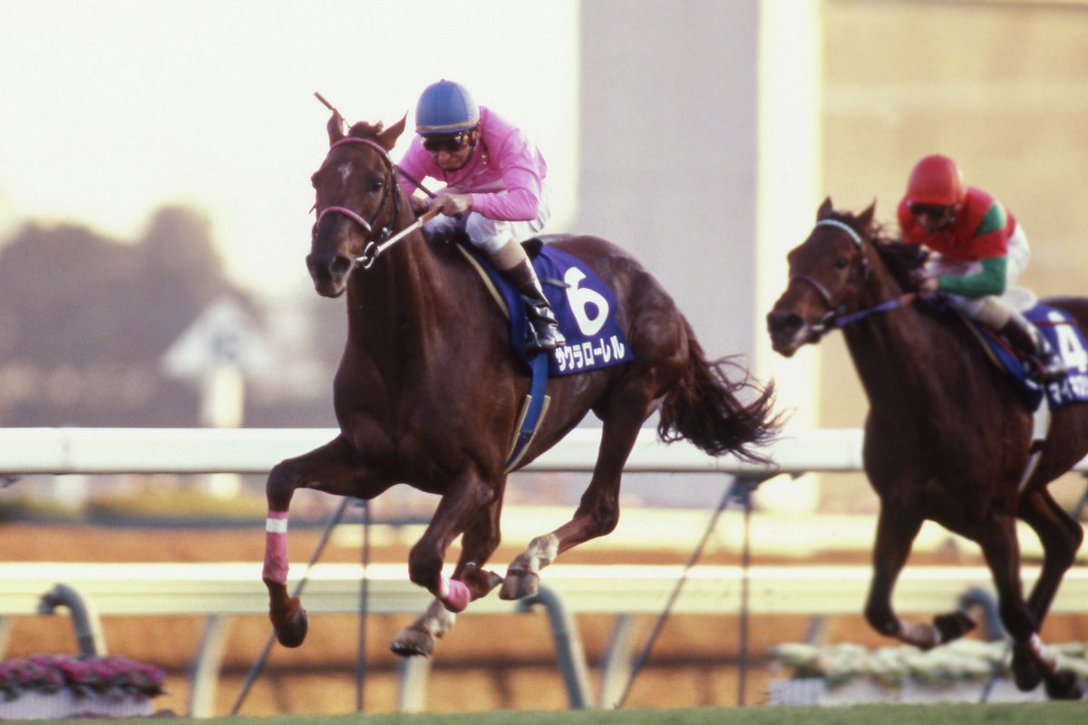 サクラローレル は1994年の1月6日にデビューしました。大器の呼び声