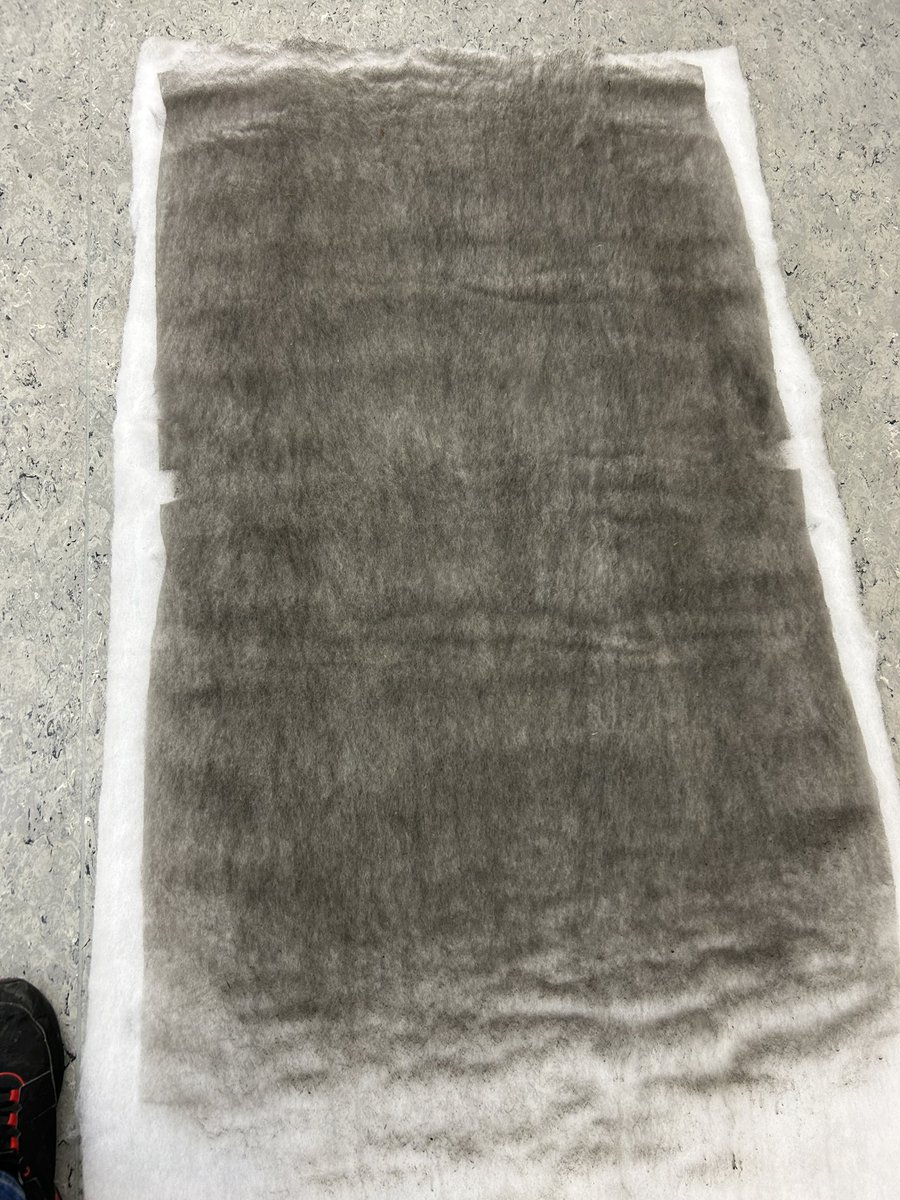 Joseph Hofmann tweet media