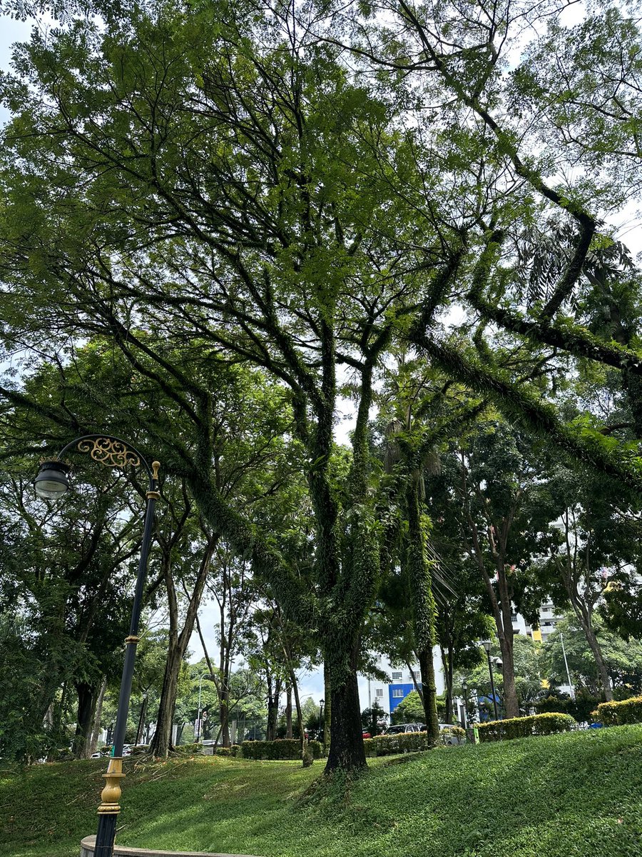 Post a picture You took - just a pic. No description