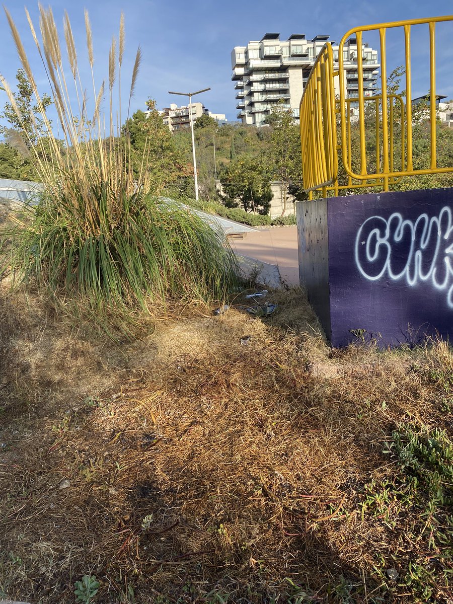 COPACI Lomas Verdes 6a Sección tweet media