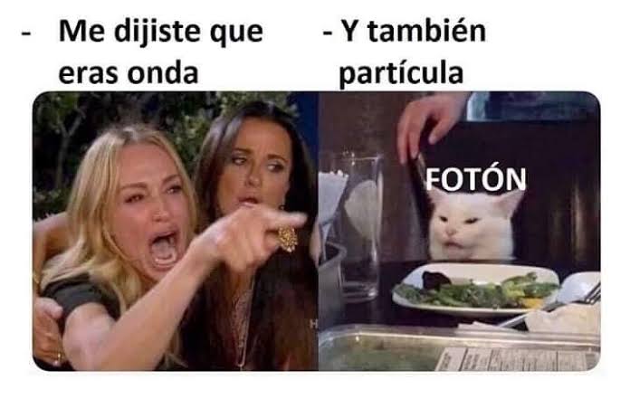 EnsedeCiencia's tweet photo. Pobre michi Fotón 🤣 https://t.co/X6tPDW5BSQ