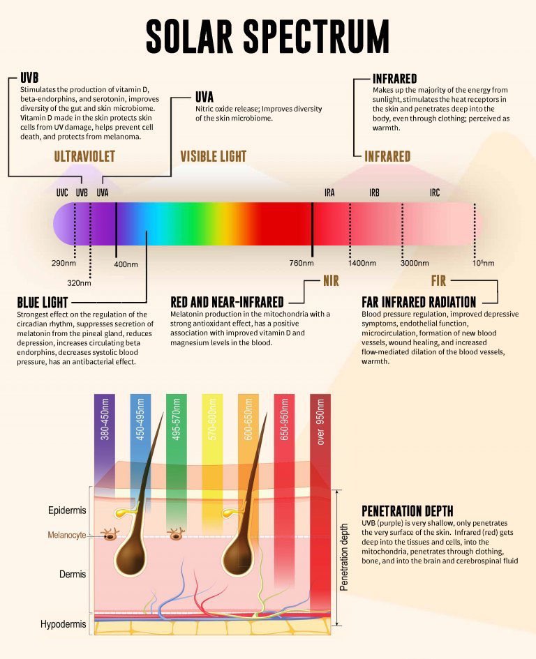 Lack of IR light is a key reason people develop high bp &amp; heart disease

Only light over 950 nm can actually reach the depth of your blood vessels

IR sauna + red light panels + sun are the best tools to heal bp &amp; have countless other benefits