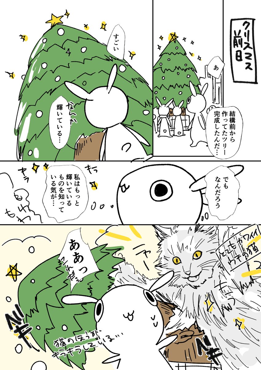 日記。猫はすごい🐈 