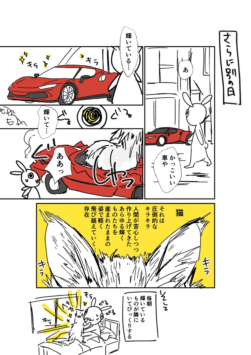 日記。猫はすごい🐈 