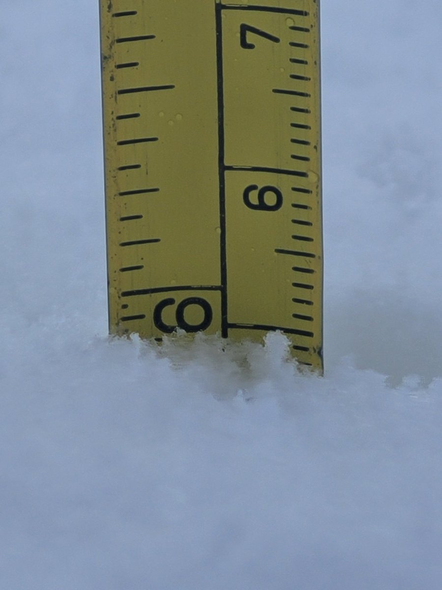 6 inches here between Mallow and Buttevant, and it's still falling <a href="/CarlowWeather/">Carlow Weather</a> <a href="/CorkSafetyAlert/">Cork Safety Alerts</a>