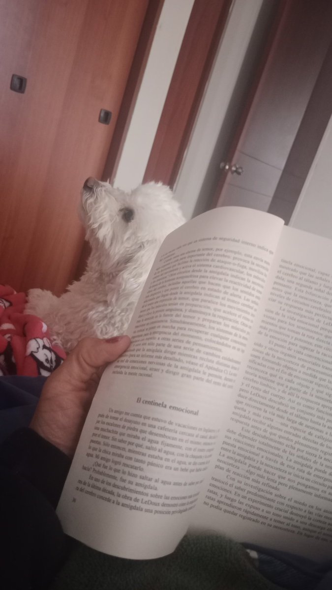 paitomb's tweet photo. @Marparido12 @evelyncarmona Entre a Twitter y leo esto... Andaba asi hace una hora..  solo que con tinto... Muy am para un vino ;) https://t.co/cAqqXiHLn0