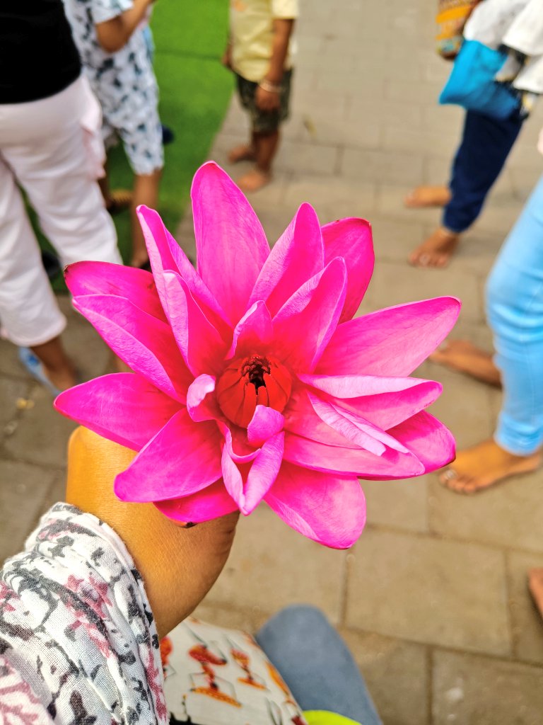 prestine_pearls's tweet photo. Post a picture you took.
Just pic..No description. https://t.co/qu6fkh8mSL