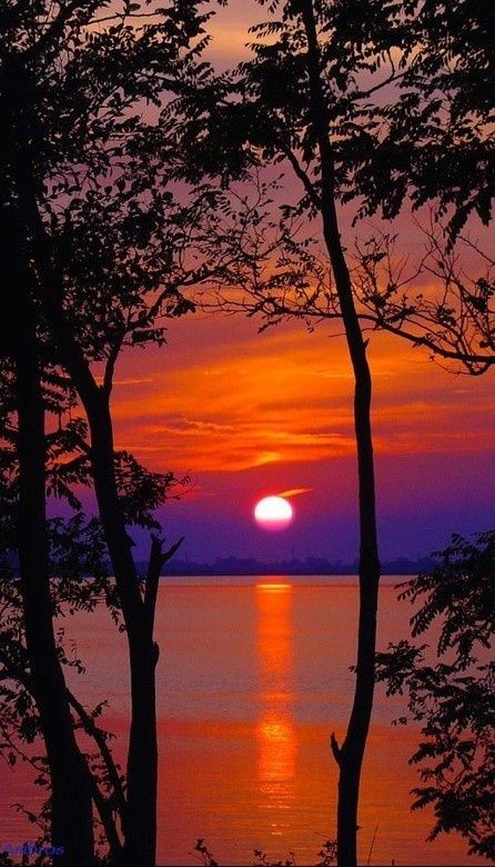 "Good night, everyone! 🌙 
May your dreams be peaceful and your rest be refreshing. Sleep tight and wake up ready to conquer a brand new day!"