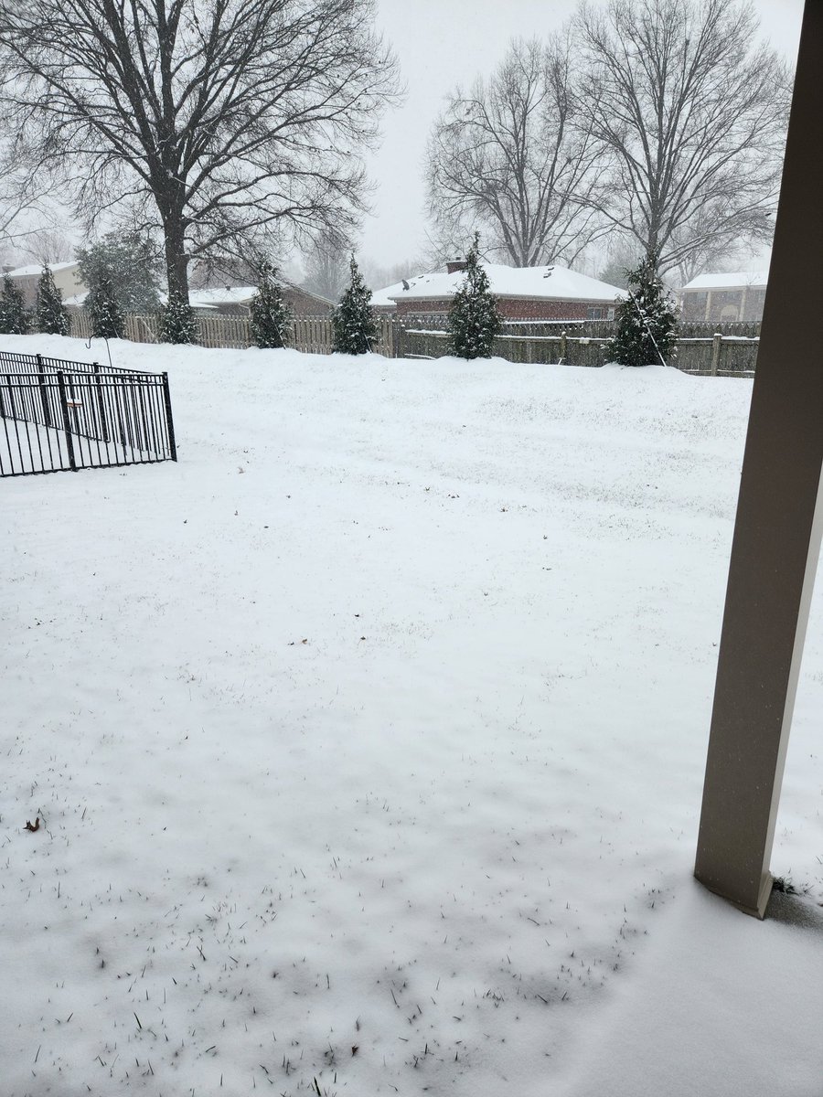 Chaneyleann's tweet photo. @BGoodeWAVE3 @BryceJonesWx @NWSLouisville Jeffersonville IN, January 5th, 10:30 am. Small flakes but coming down heavy and steady https://t.co/hQiT4MTKNp