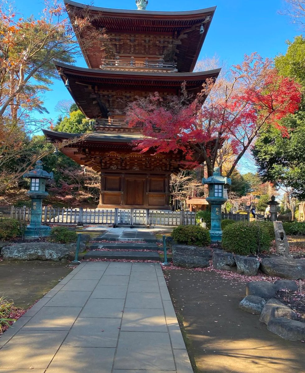 AkFarida's tweet photo. gotokuji temple https://t.co/Z8LRl83JXr