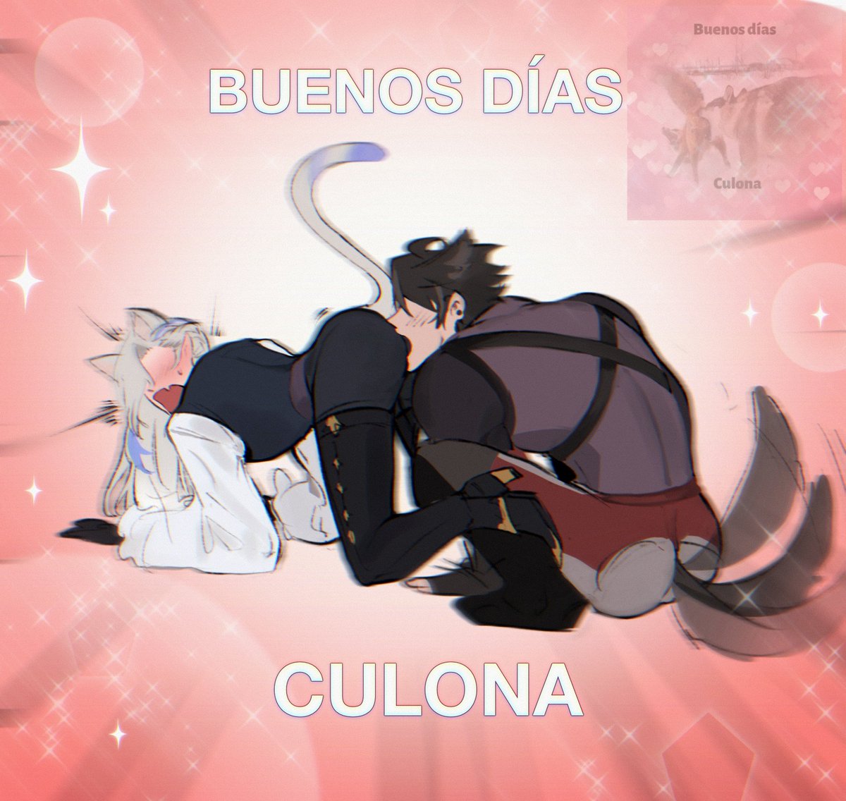 𝙆𝙚𝙯𝙤💫 (Hiatus) | Sealhe Truther tweet media