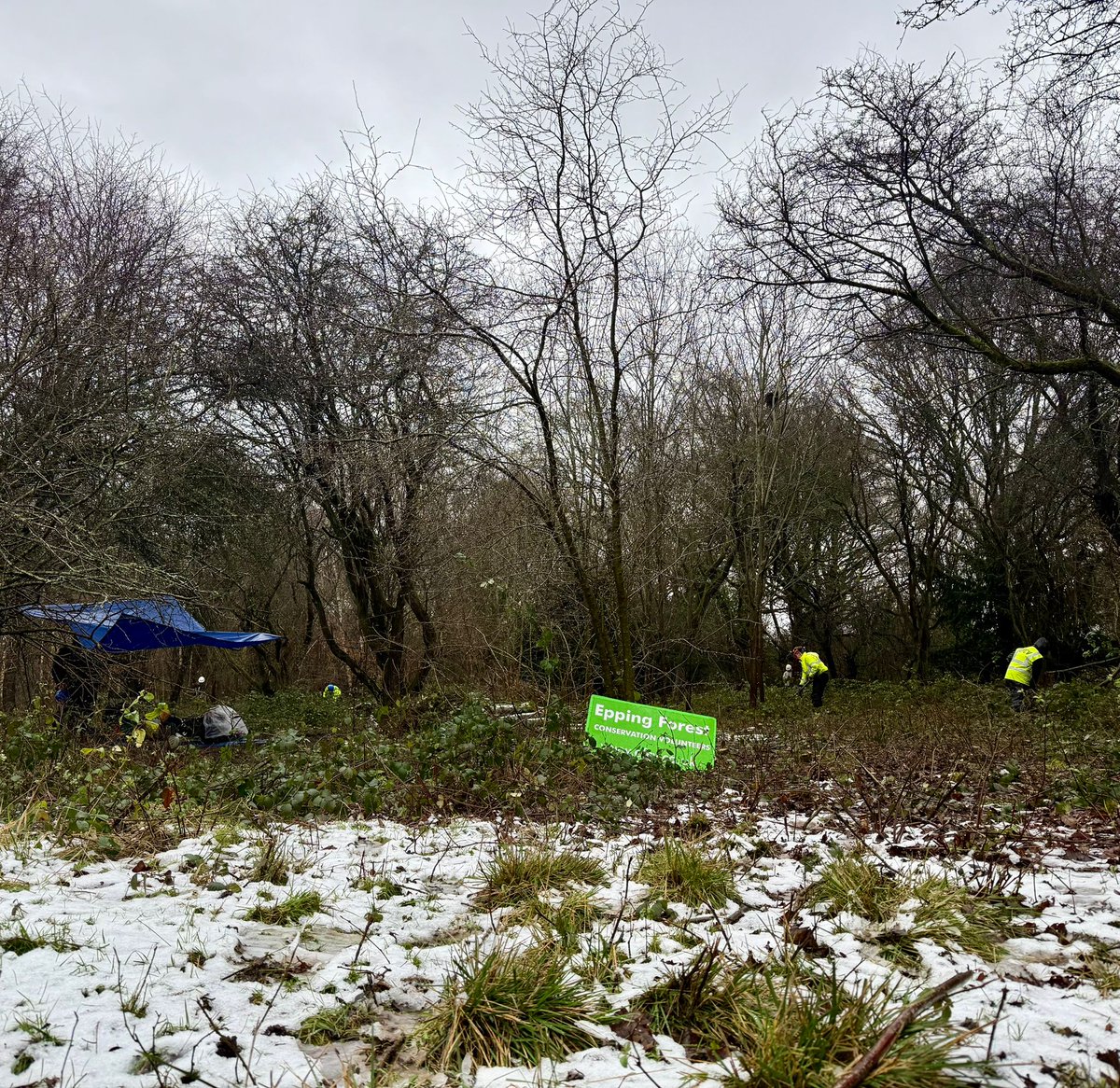 🌨️ Snow, sleet, and rain—EFCV volunteers faced it all! 💪 Today’s team braved the weather to carry out vital conservation work.
🌿 These efforts help maintain #EppingForest's  unique mosaic of habitats.
🌟 Want to get involved? Find out how 👉 cityoflondon.gov.uk/things-to-do/g…