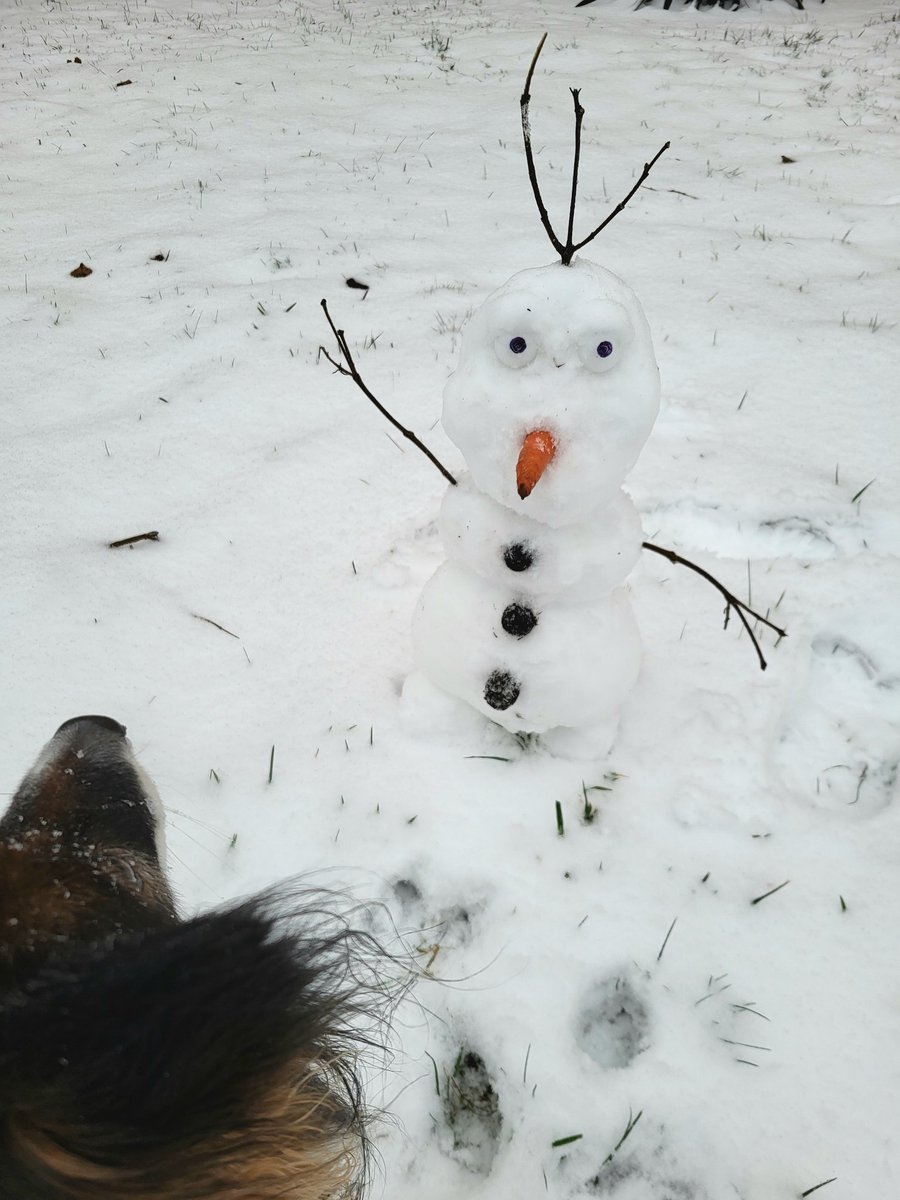 Plzeňský sněhulák zdraví..❄️ Tedy doufám, že to je mávání..😀