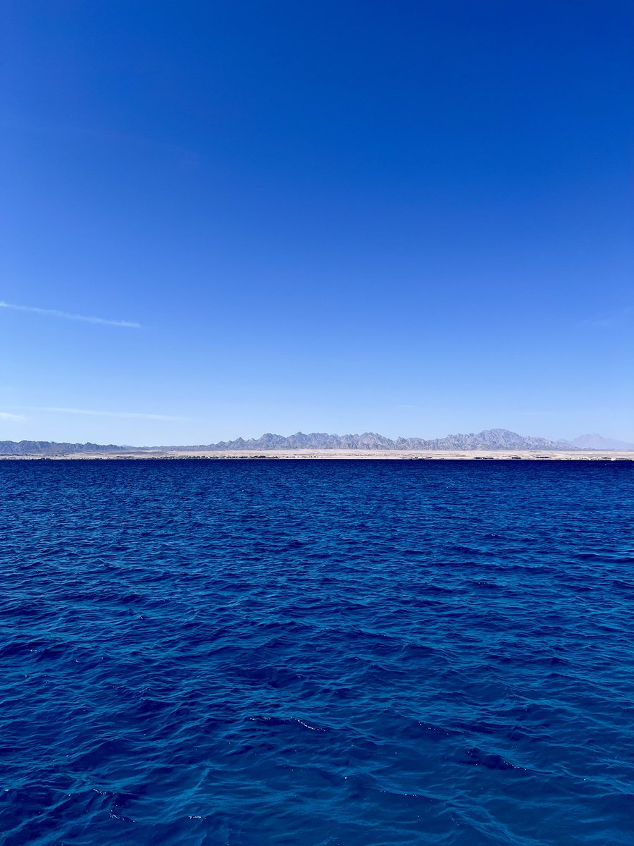 05 Jan 2025: certified PADI Open Water Diver!