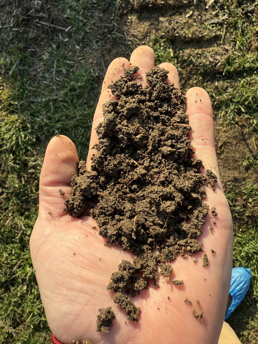 DataManning's tweet image. Currently in Romania for LEAD42 International Study. 

Simply put, nice soil!
#dirtnerd @IANRmedia_UNL