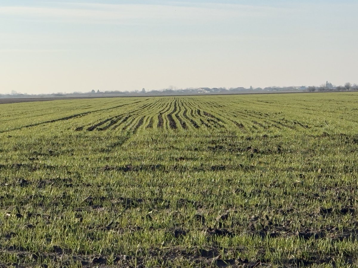 DataManning's tweet image. Currently in Romania for LEAD42 International Study. 

Simply put, nice soil!
#dirtnerd @IANRmedia_UNL