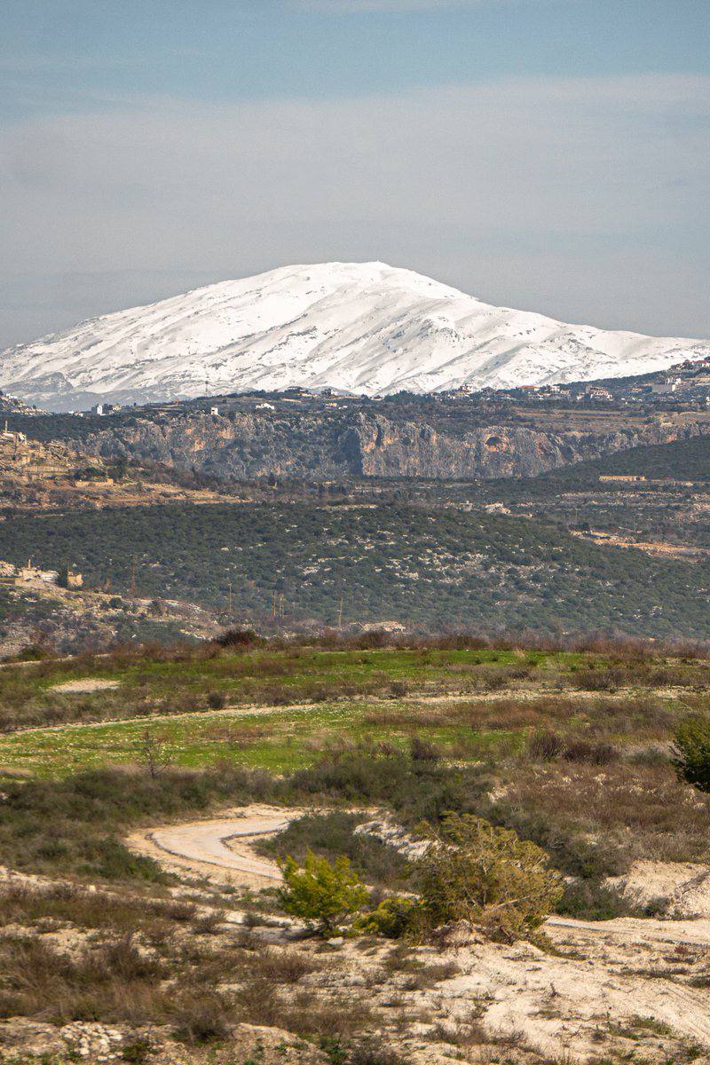 👁️🗨️SigWar_OpX📡Δ tweet media