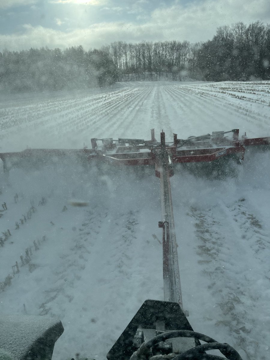 steve sickle tweet media