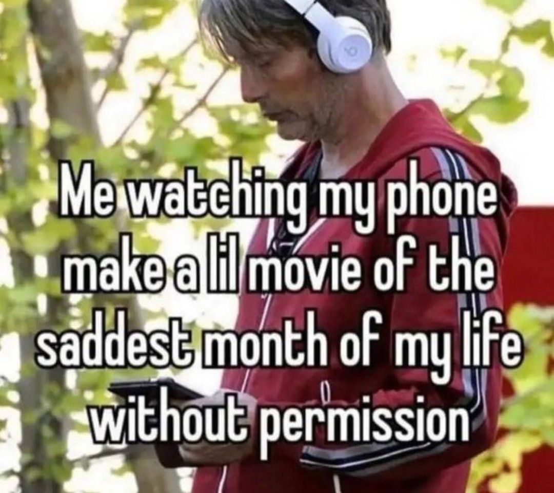 Wild TikToks (@wildtiktokss) on Twitter photo 