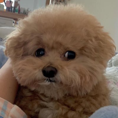 เด้กคนนั้นเรียกหนูว่าอ้วน  แง้ดอ้วนๆๆๆๆๆๆๆ มันว่ามางิ้อะแม่จ๋า