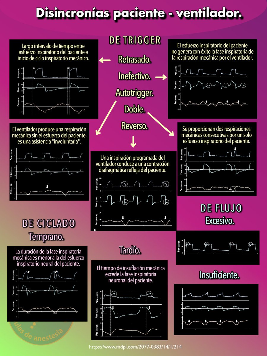 Resumen de las disincronías paciente - ventilador, según las fases del ciclo respiratorio. 

Primera cápsula del 2025…

Fuente: Optimizing Mechanical Ventilation: A Clinical and Practical Bedside Method for the Identification and Management of Patient–Ventilator Asynchronies in