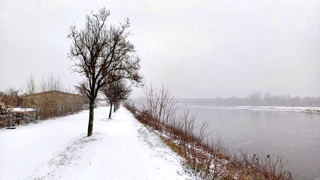 Vor der Glätte noch einen kleinen Sonntagsspaziergang durch den leicht verschneiten #Wissenschaftshafen in #Magdeburg