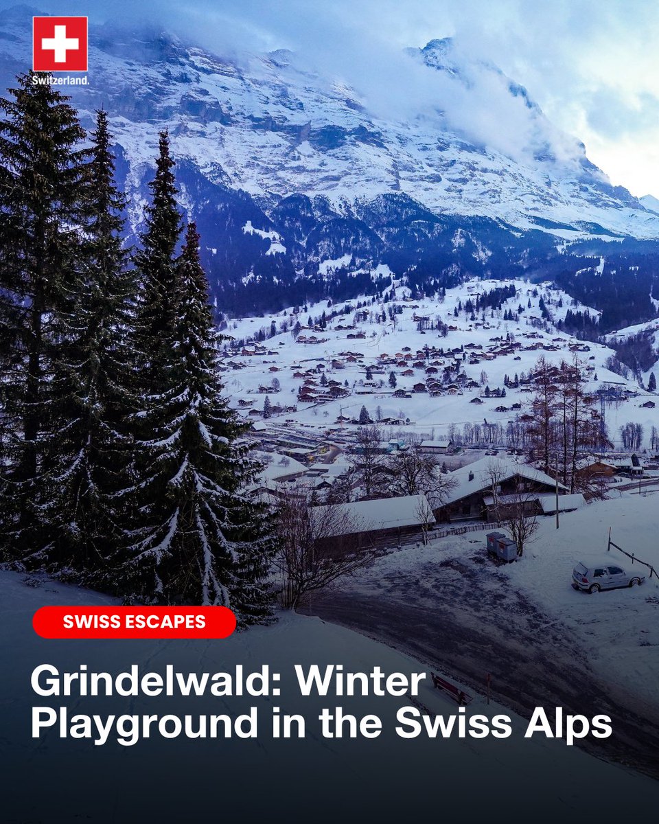 AbtSwitzerland's tweet photo. Ready to experience the thrill of winter sports? ❄️⛰️

Grindelwald, nestled at the foot of the Eiger, is a true playground for snow lovers. Skiing, snowboarding, hiking, or tobogganing… every activity immerses you in a breathtaking landscape. 🏂 https://t.co/T0q1WMoI1m