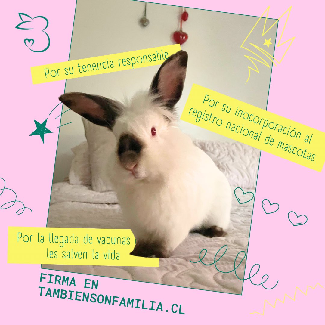 Silvi 🥕✨ tweet media