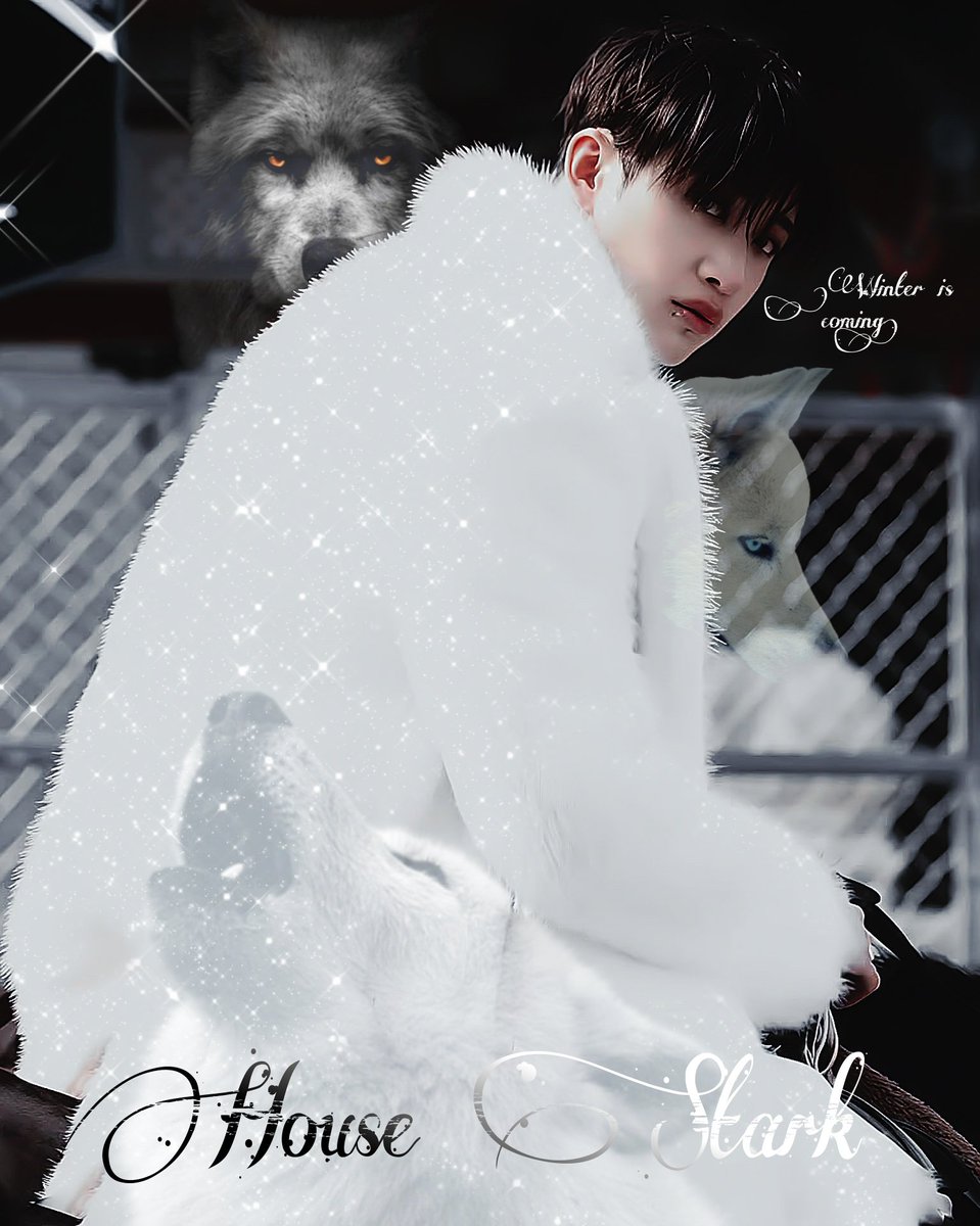 tiutulii's tweet photo. I've done multiple wolf edits of him for obvious reasons but a proper #GameOfThrones reference was needed. So... Here. Christopher Stark๐บ #BangChan #StrayKids #WolfChan #winterHAScome https://t.co/0S0NqB4t0u