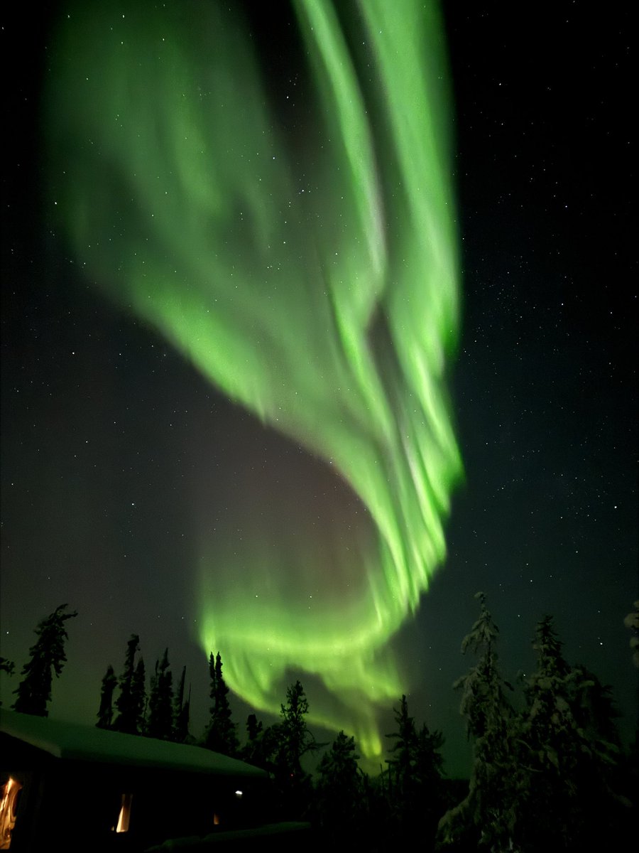 jackus0's tweet image. 年末年始はイエローナイフでオーロラ三昧してきた✨

#iPhone15ProMax