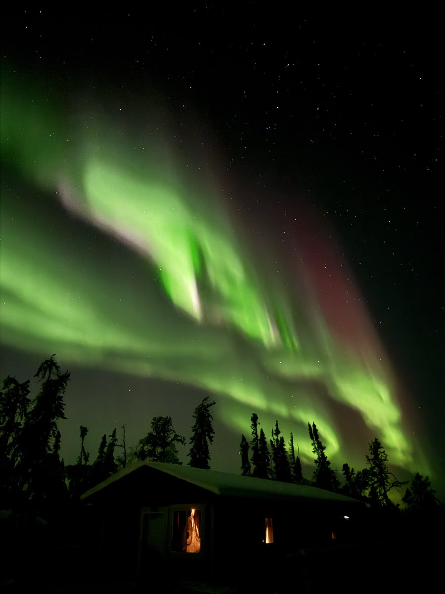 jackus0's tweet image. 年末年始はイエローナイフでオーロラ三昧してきた✨

#iPhone15ProMax