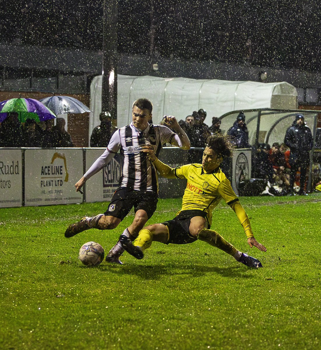 Martin Dye tweet media