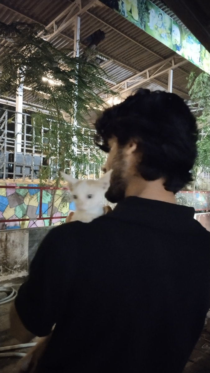 notdevussy's tweet image. forgot to post these here 😺