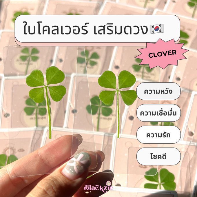 bxyzz_'s tweet photo. 🍀✨#แจก ใบโคลเวอร์เสริ���ดวงปังๆ ต้อนรับปีใหม่ค่า

✨รี+ฟอล 
✨อิโมจิที่ชอบ https://t.co/Ls7N0Yu7Xz