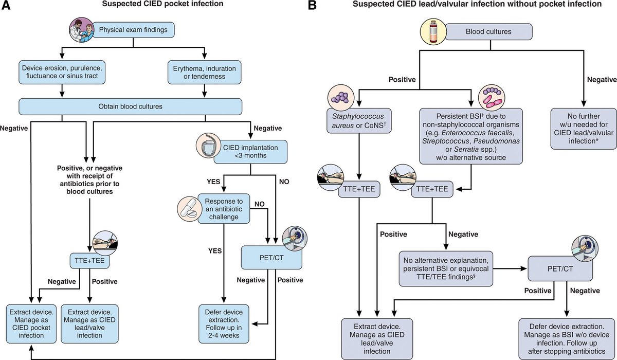 drtimothyli's tweet photo. A scientific statement from AHA on prevention, diagnosis and management of CIED infection

https://t.co/F0vQILDKfz https://t.co/YXfNUxFKdH