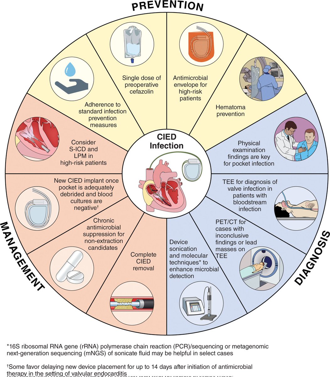 drtimothyli's tweet photo. A scientific statement from AHA on prevention, diagnosis and management of CIED infection

https://t.co/F0vQILDKfz https://t.co/YXfNUxFKdH