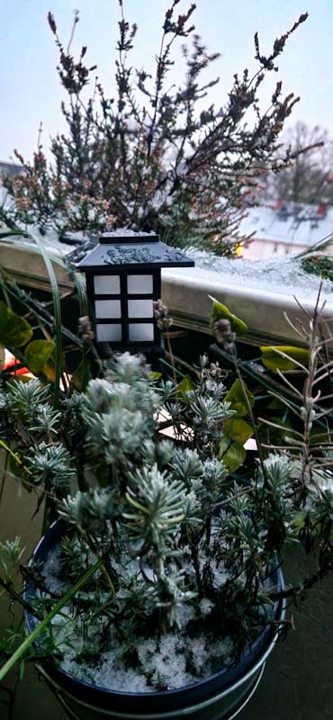 Mistress_B67's tweet image. Mein Winter-Fetisch 😍☃️❄️
#Winterzeit #coldoutside #Winter #meinejahreszeit #Schnee #kaltejahreszeit 
@AnnieSissyDe
@schwanznutte87
@FlittchenAnna
@cartman2705 
@pavarot1
@C64Slave