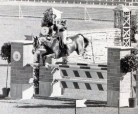 HORSERACING1002's tweet photo. "SINJON"
HELEN'S VINO🇺🇸1951
(VINO PURO - HELEN ABRIGAIL BY WAR GLORY)
#HelensVino #Sinjon
B/ Mrs Dorothy H. Cohn (Ca)
1951, Gelding.
19-0-0-0----$0
Rode by Kathy Kusner, George Morris & Bill Steinkraus,
Silver Medal (team)1960 Rome,
Gold Medal (Team) 1963 Pan American Games,
Died 1976