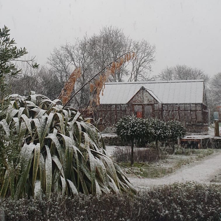 GROW HQ is now closed for our annual break, and as if on cue, the snow has arrived to blanket everything in a magical winter wonderland! ❄️ We’ll be back in just a week, rested and ready to welcome you again. Stay cozy, enjoy the snow, and we’ll see you soon!