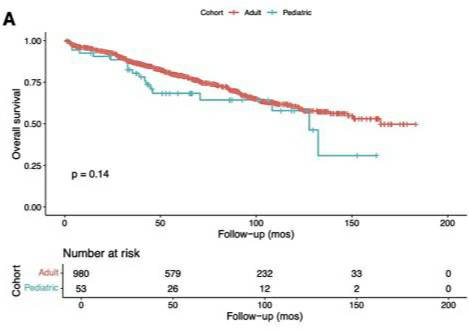 Journal of Neuro-Oncology (@jneurooncol) on Twitter photo El-Hajj et al. <a href="/DanielLubelski/">Daniel Lubelski</a> <a href="/abdul_ghaith/">Abdul Karim Ghaith,MD,PhD</a> <a href="/HopkinsNsurg/">Johns Hopkins Neurosurgery</a> reveal that pediatric patients with spinal chordomas often present with more advanced-stage tumors but achieve overall survival outcomes comparable to adults. #JNO
Read more:link.springer.com/article/10.100… El-Hajj et al. <a href="/DanielLubelski/">Daniel Lubelski</a> <a href="/abdul_ghaith/">Abdul Karim Ghaith,MD,PhD</a> <a href="/HopkinsNsurg/">Johns Hopkins Neurosurgery</a> reveal that pediatric patients with spinal chordomas often present with more advanced-stage tumors but achieve overall survival outcomes comparable to adults. #JNO
Read more:link.springer.com/article/10.100…