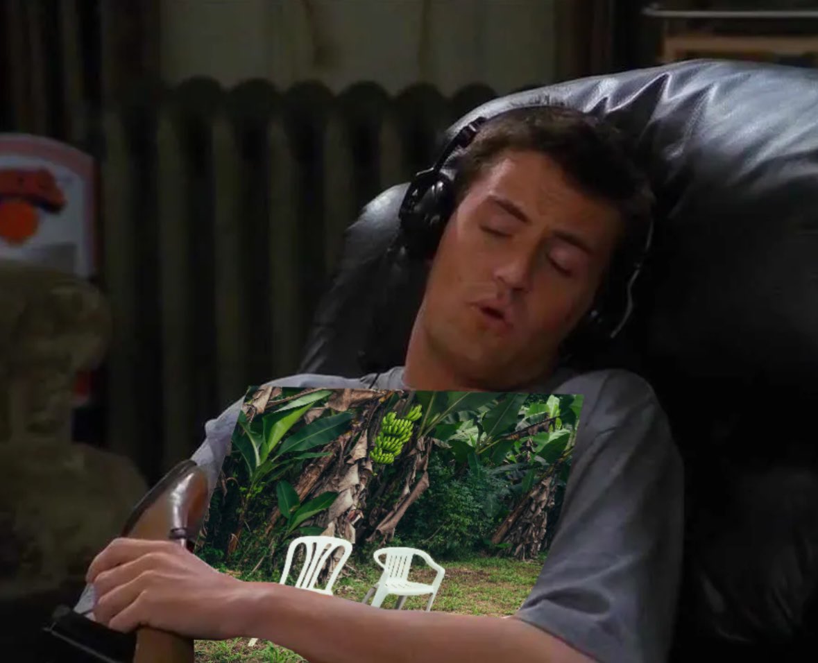 soyclubi's tweet photo. no me hablen, salió el álbum de bad bunny. https://t.co/TyqrW0lOwF