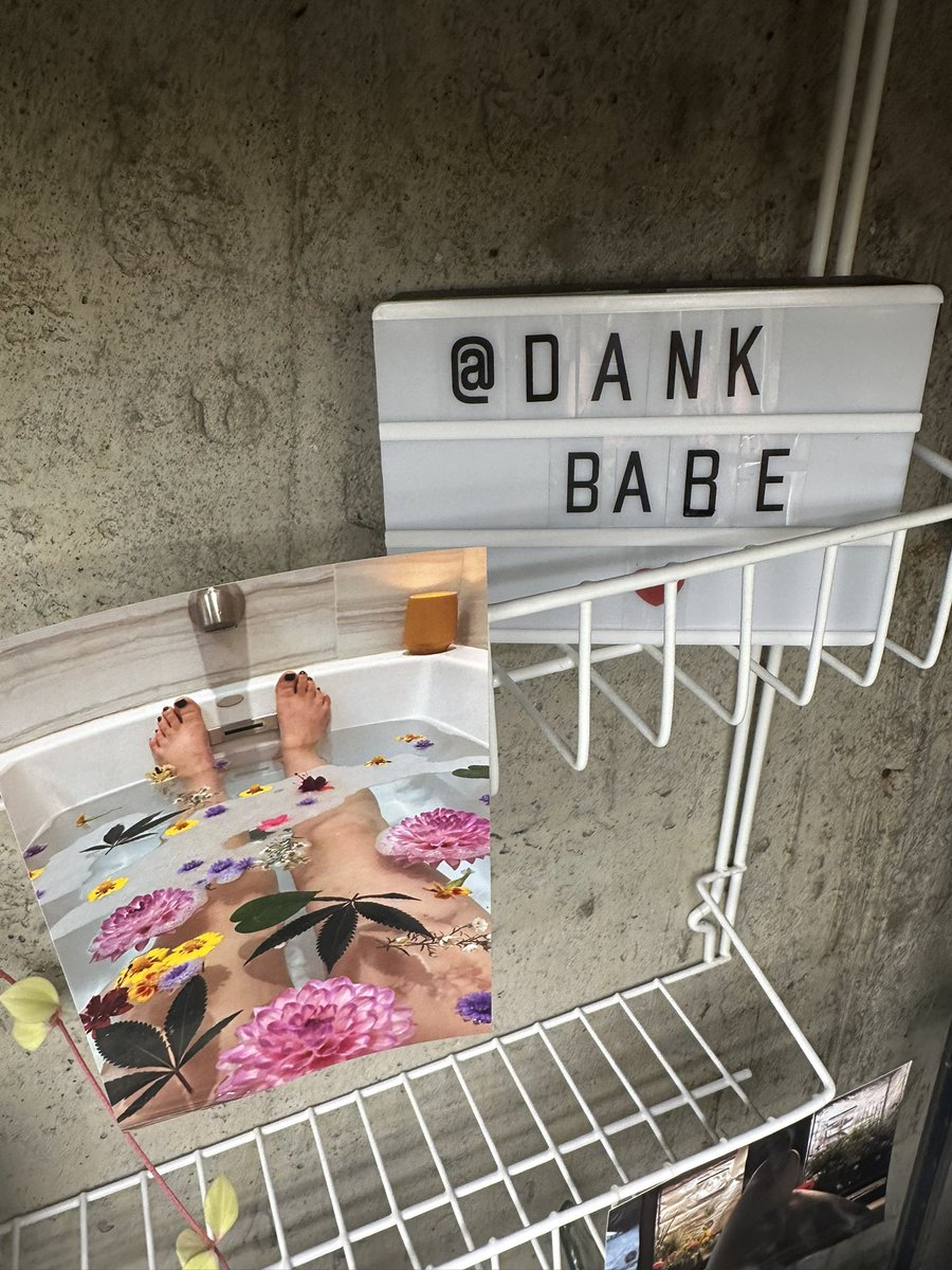 HighlyGanjanous's tweet photo. @THeustis78364 @SolfireGardens Itโs been years, but I still have this up in my lung room ๐คญ
So fun that you brought it up, I have been using #dankbabe over here occasionally https://t.co/DAGS3jJZUl