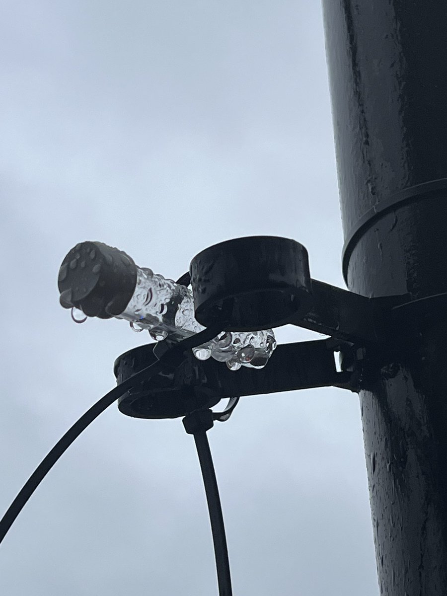 zoelaughlin's tweet image. Any ideas what’s going on here? (Spotted about two meters up on a sign post in a central London location. I didn’t see them on any other posts in the area)