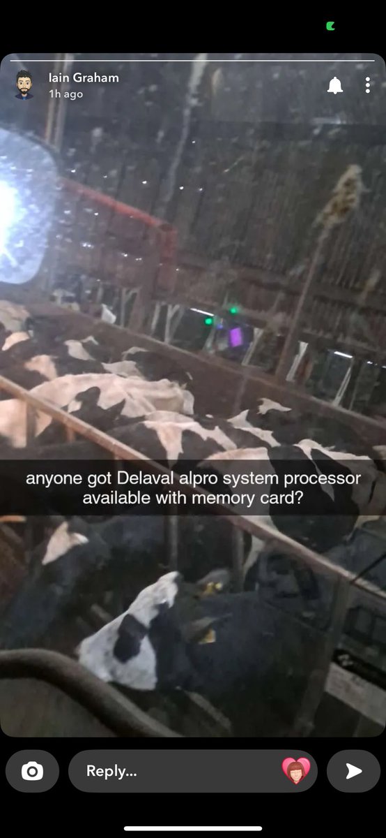 Fiona Graham tweet media