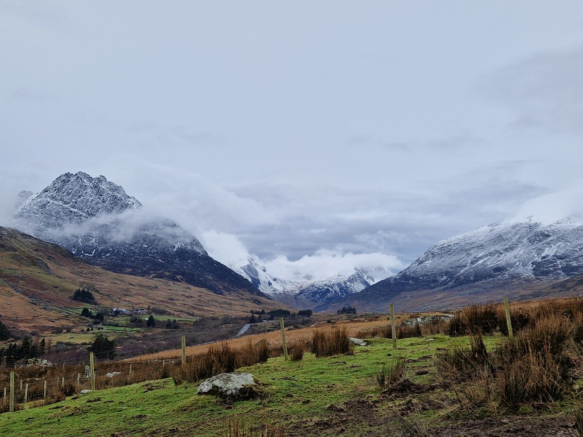 A snowy weekend with hounds in #snowdonia #Eryri
