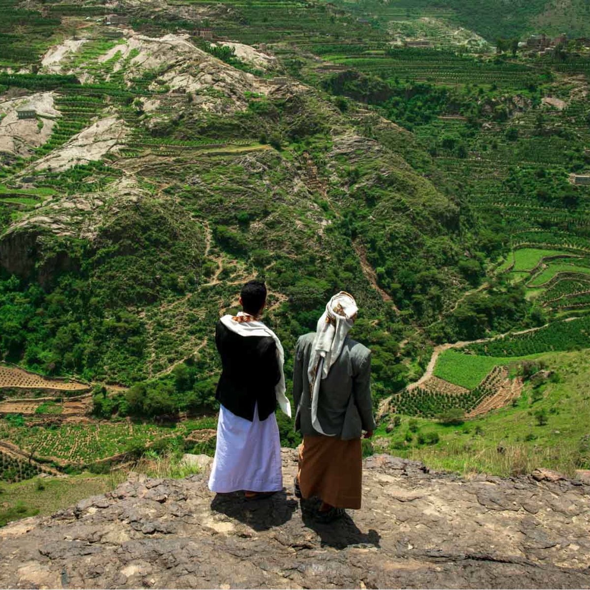 من قلب جبال اليمن بقصة يرويها عرق الفلاحيين وحب الزراعة✨
 فزنا في مزاد #Best_of_Yemen 🏆

بمحصول شهِد على قوة إرادة النساء اليمنيات 💪
حتى يعرّفوا العالم على أجود محاصيل البن الفاخرة ☕️