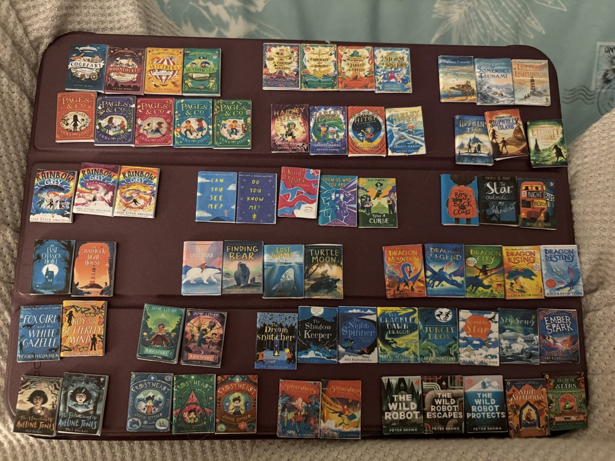 lbiddulph6's tweet image. How cute is this mini bookshelf. Sitting organising my mini books into authors and series 😂 📚