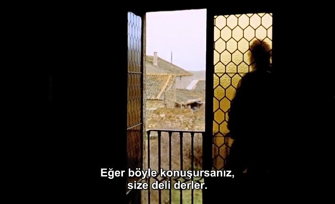 trouvaille tweet media