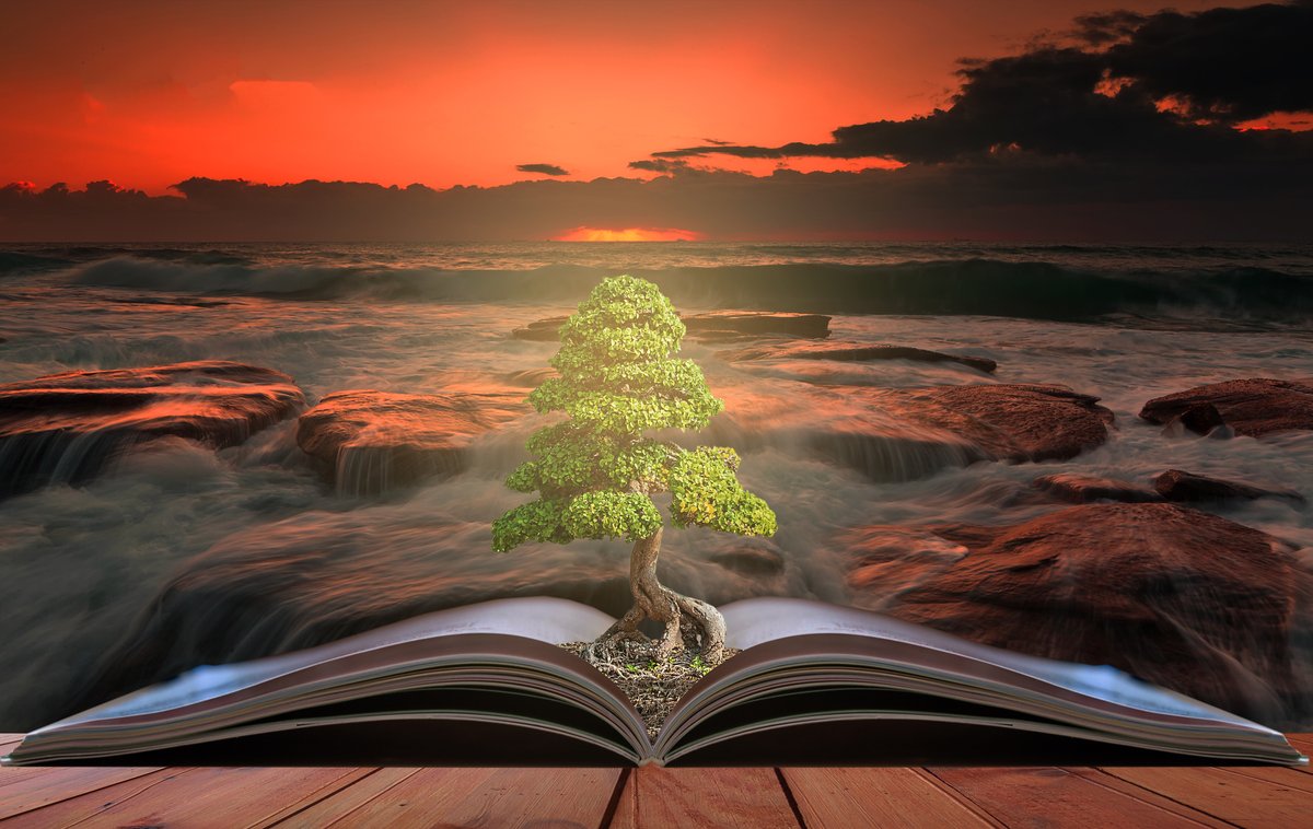 The Power of Education

Growing up in South Africa, I spent my early years in corporation flats, what would be called state housing here in New Zealand. Living among lower-income families and some colourful characters from all walks of life taught me a lot about human nature -