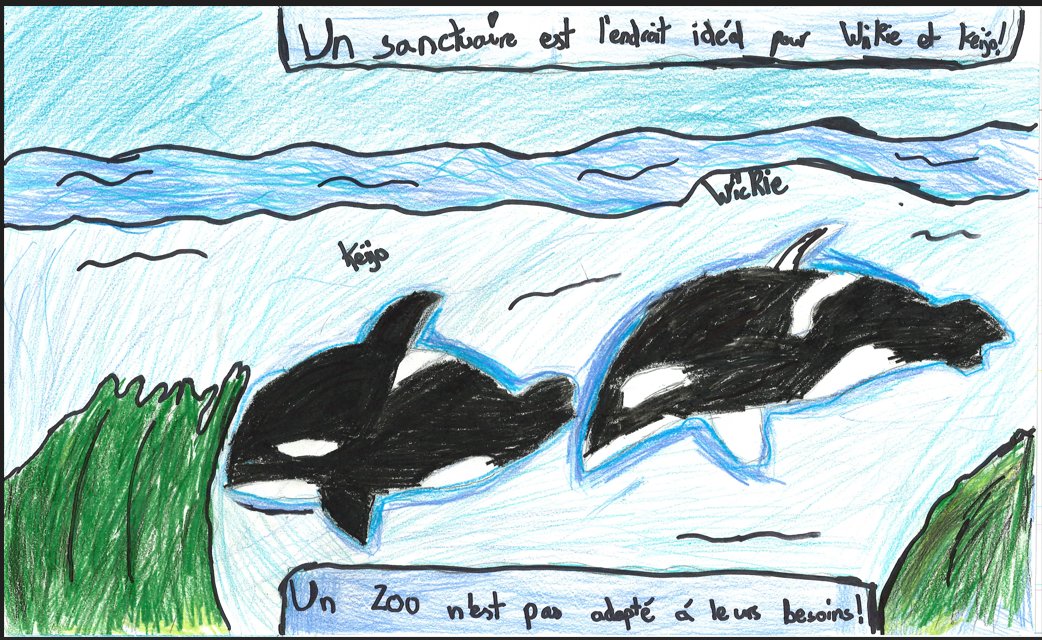 bayviewglenps1's tweet image. Our students at BGPS would like to see Wikie &amp;amp; Keijo free &amp;amp; swimming in a natural environment here in the whale sanctuary in Nova Scotia. They all agree that whales do not belong in tanks. @onevoiceanimal @yrdsb @CamilleBrunel @Mister_Regina @AgnesRunacher @ZoocheckCanada